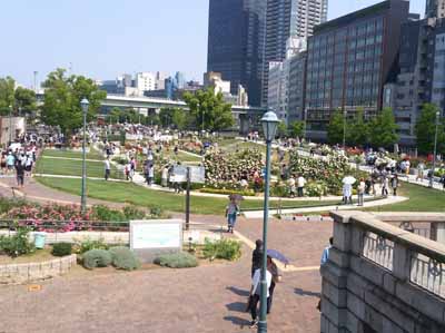 2016年5月22日 大阪市内 中ノ島バラ園