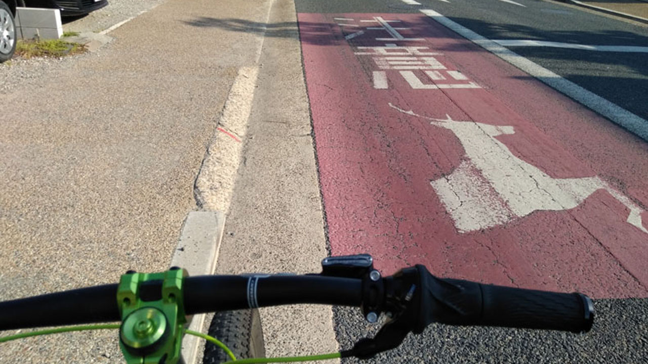 Deer in Nara Park - one deer looking at camera with others grazing nearby