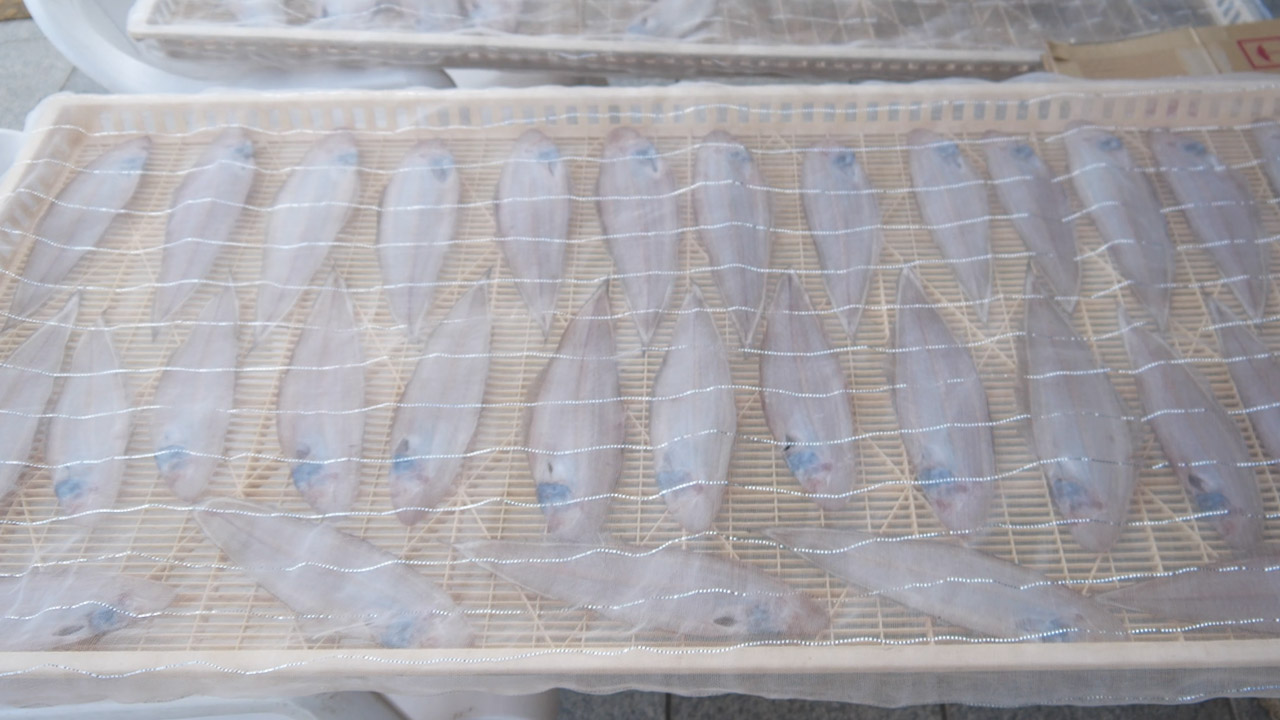Dried flatfish (shita-birame) at roadside station