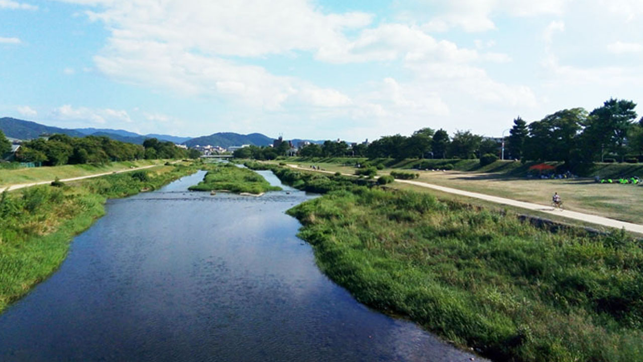 Kamo River cycling path - tranquil riverside scene with trees and water visible