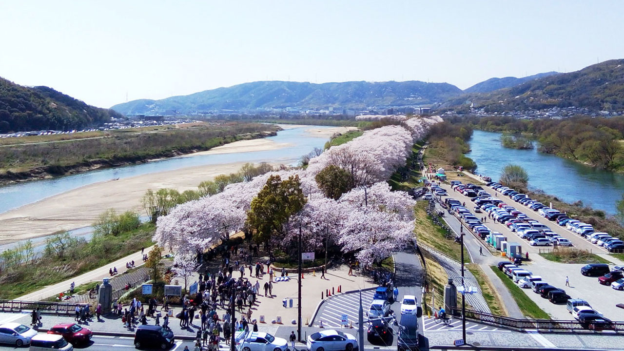 Kyoto Sewaritei in April