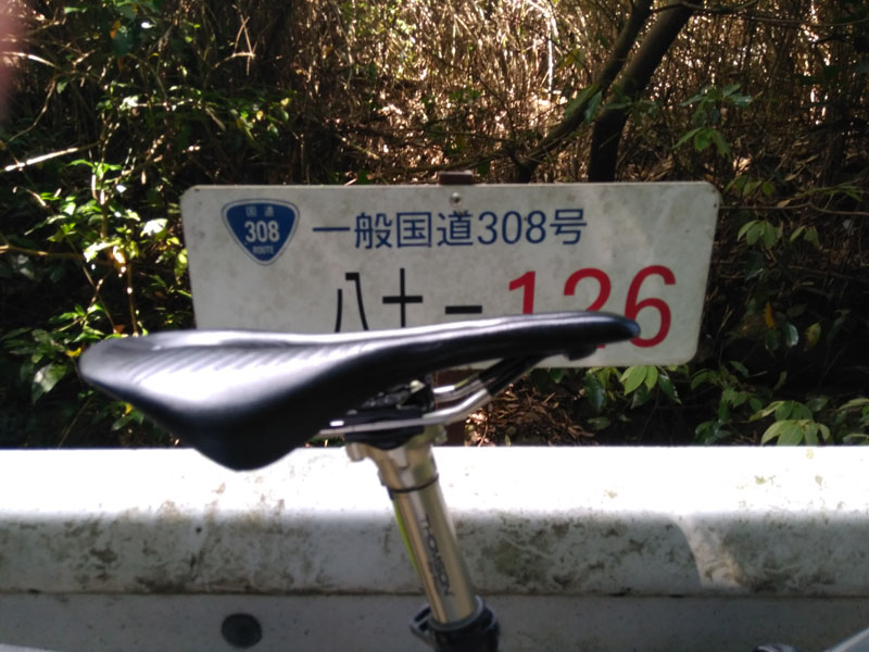 An inverted blue triangle sign indicating National Route 308