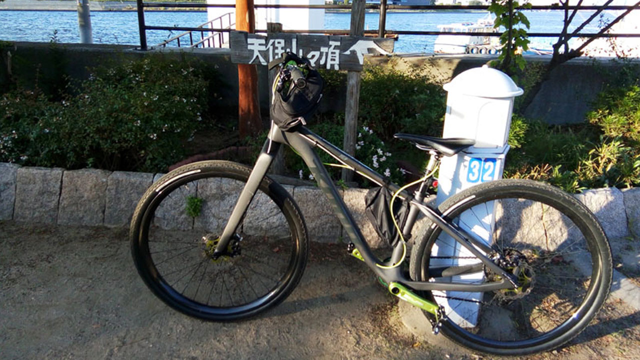 Summit of Tempozan - Japan's second-lowest mountain at 4.5m elevation