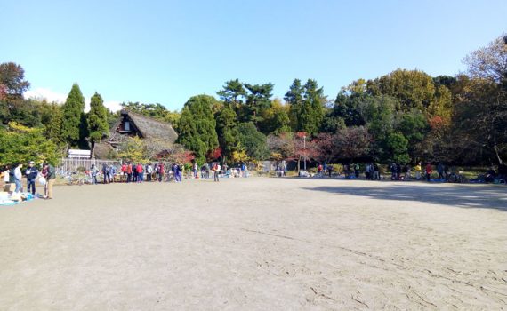秋晴れ