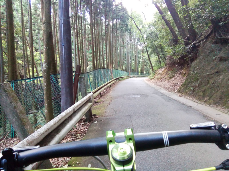 千束町への林道