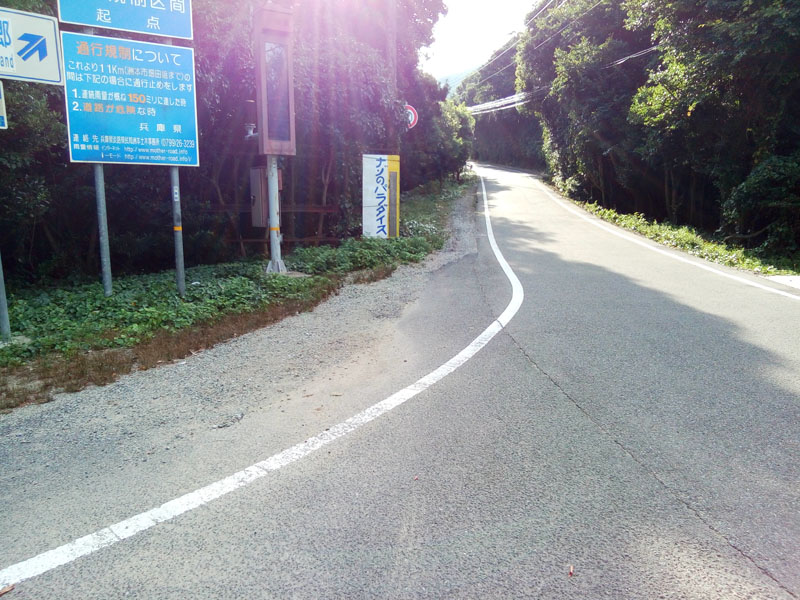 こっちが正解の道