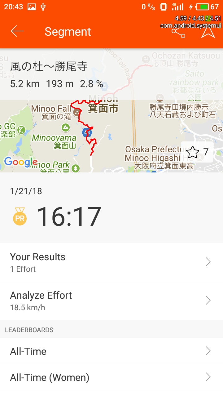 セグメント