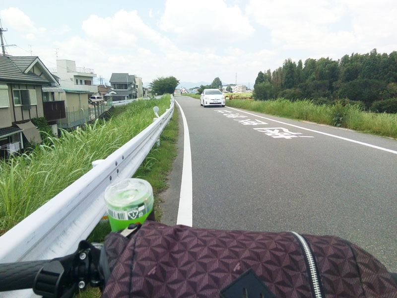 桂川右岸土手上