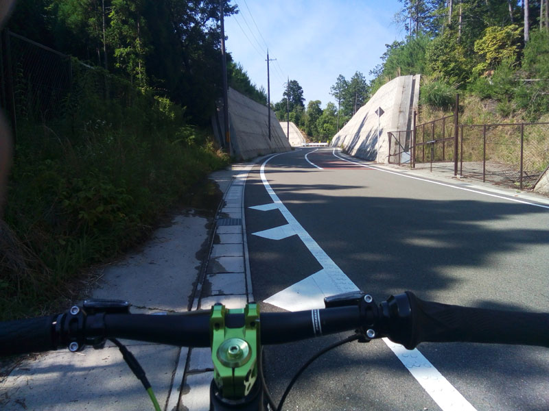 きれいな道