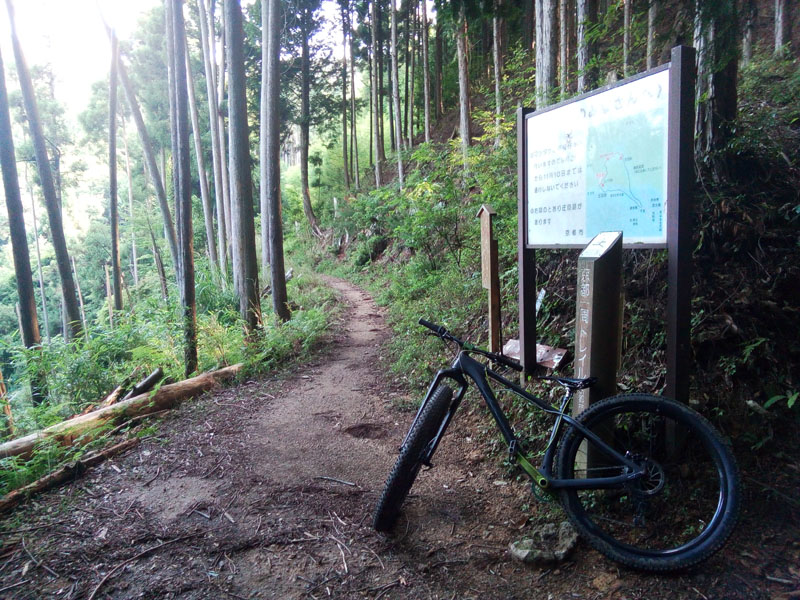 千束、沢の池分岐