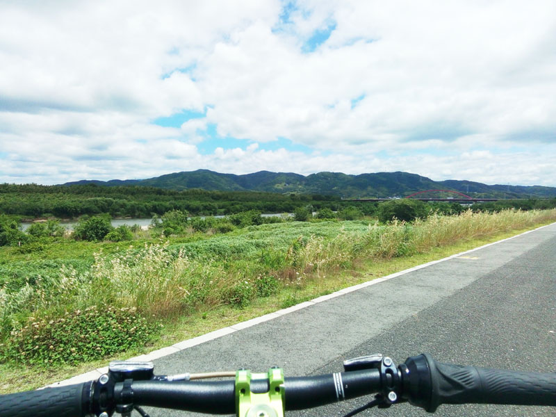 木津川サイクルロード 国道307号線付近