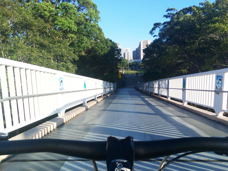 ポートアイランド側中公園
