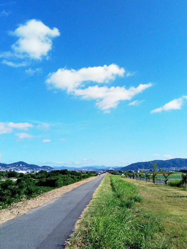 猪名川サイクリングロード 伊丹空港の滑走路横