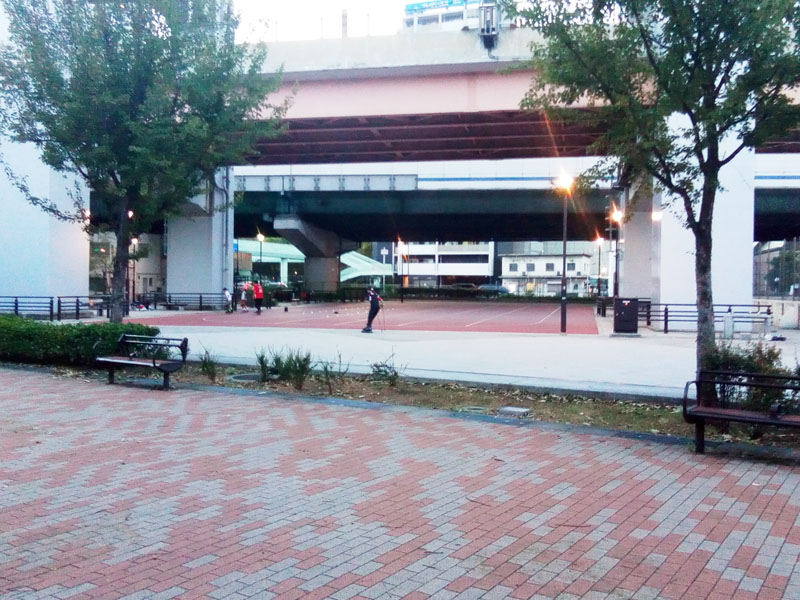 みなとのもり公園の絶好のパーク