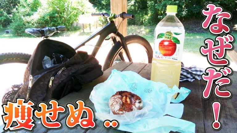 同じ 距離 自転車 徒歩 カロリー